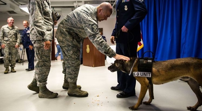 Собака которая спасла взвод солдат